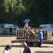 Treffen 2022 - 531